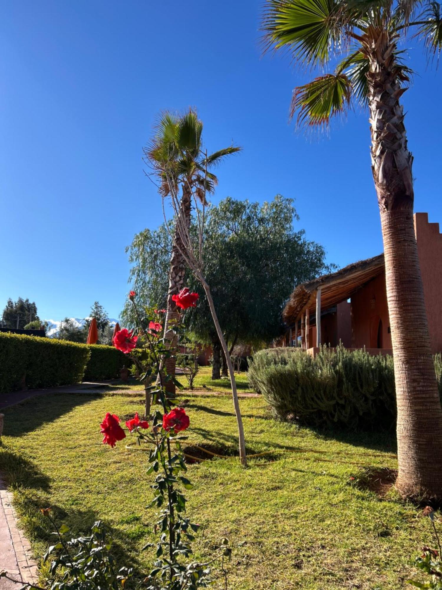 Les Orangers De L'Ourika Otel Douar Akkara Dış mekan fotoğraf
