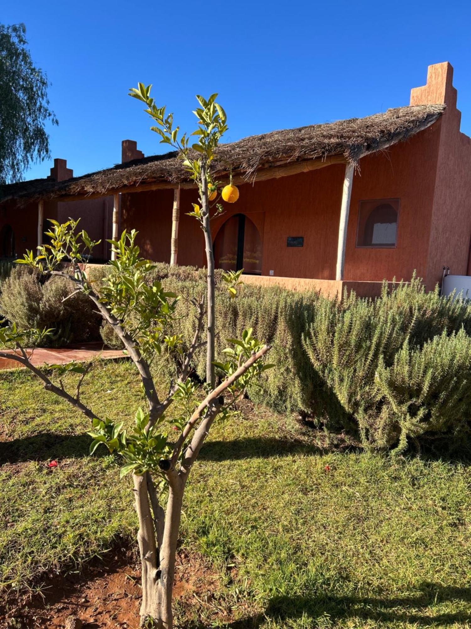 Les Orangers De L'Ourika Otel Douar Akkara Dış mekan fotoğraf