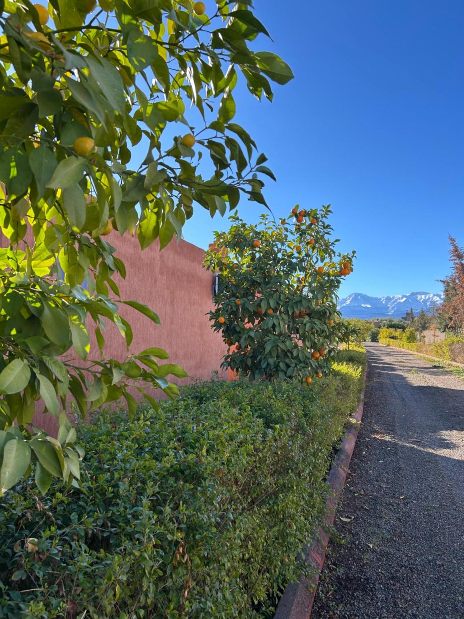 Les Orangers De L'Ourika Otel Douar Akkara Dış mekan fotoğraf