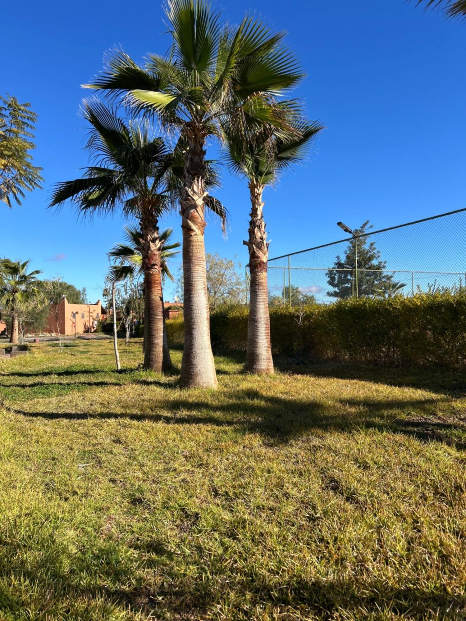 Les Orangers De L'Ourika Otel Douar Akkara Dış mekan fotoğraf
