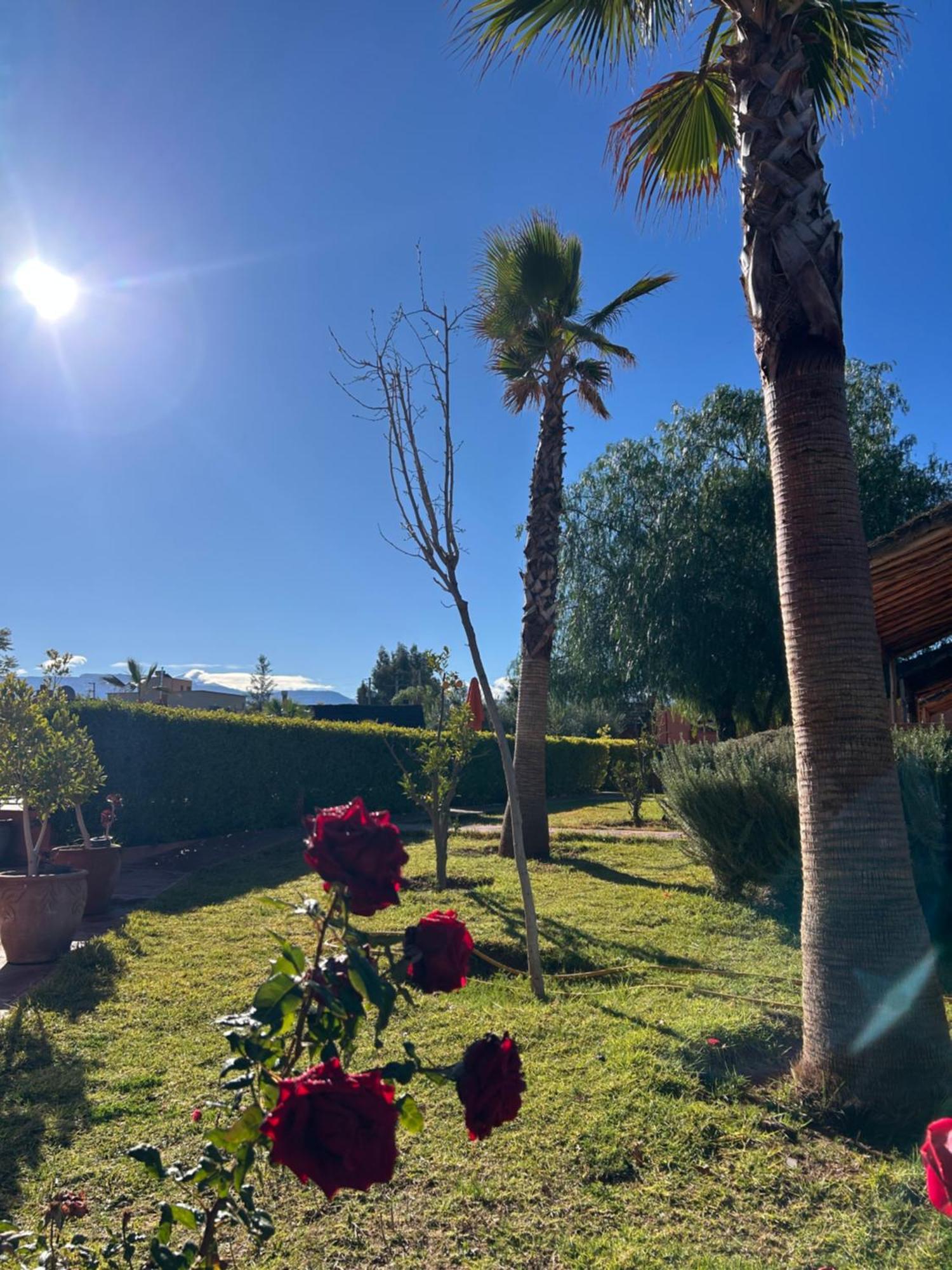 Les Orangers De L'Ourika Otel Douar Akkara Dış mekan fotoğraf